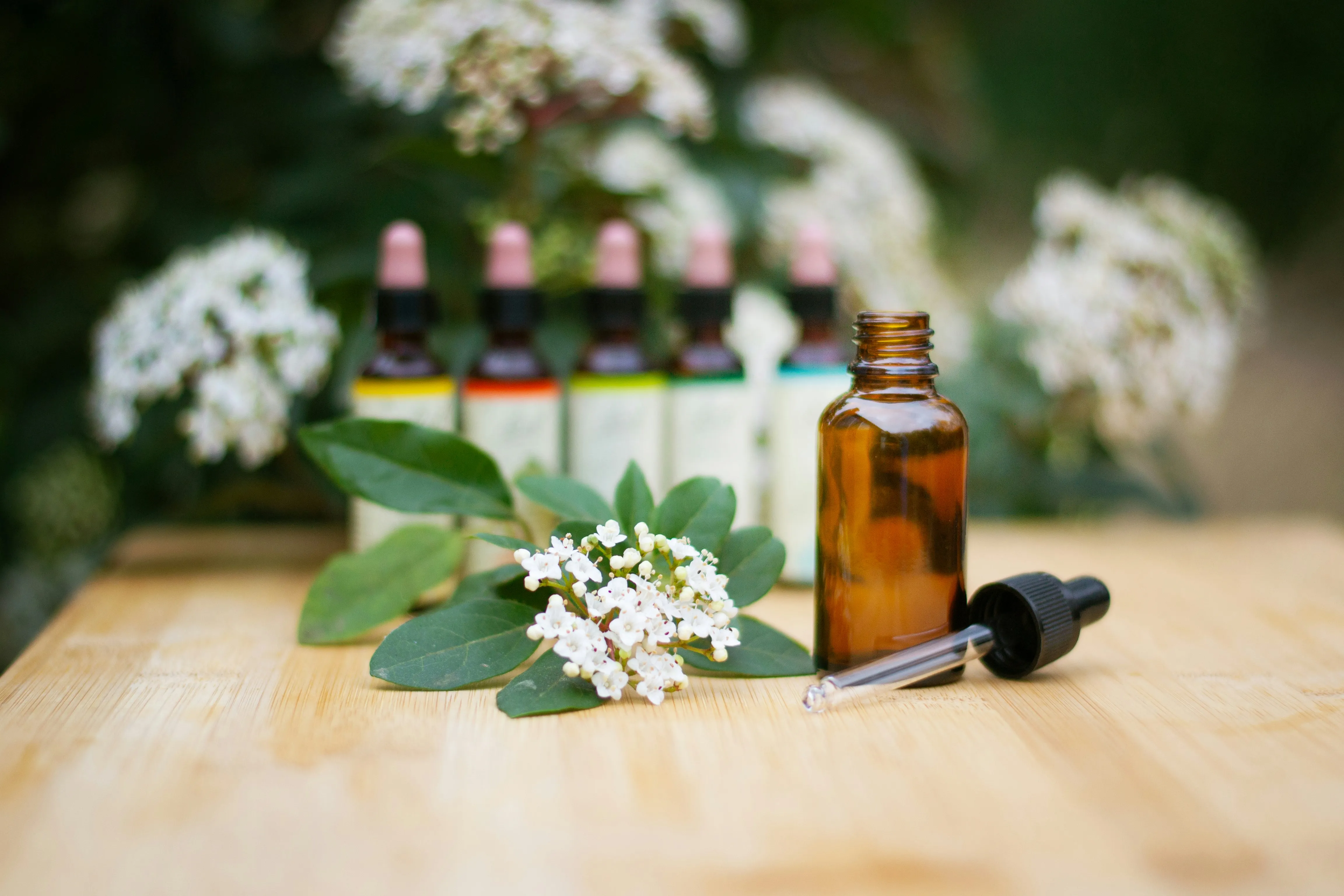 Bach flower bottles and dropper